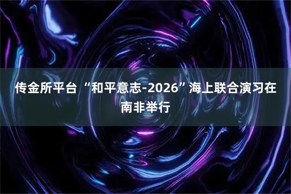 传金所平台 “和平意志-2026”海上联合演习在南非举行