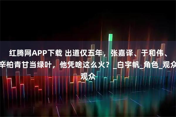 红腾网APP下载 出道仅五年，张嘉译、于和伟、辛柏青甘当绿叶，他凭啥这么火？_白宇帆_角色_观众