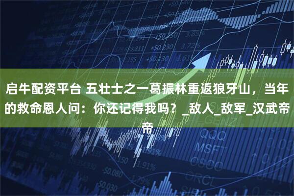 启牛配资平台 五壮士之一葛振林重返狼牙山，当年的救命恩人问：你还记得我吗？_敌人_敌军_汉武帝