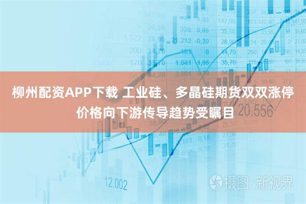 柳州配资APP下载 工业硅、多晶硅期货双双涨停 价格向下游传导趋势受瞩目