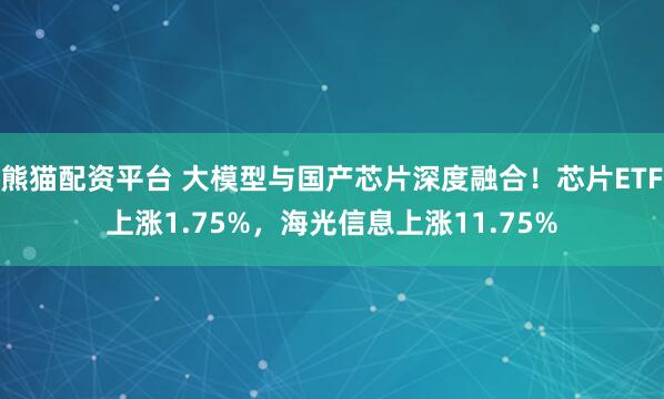 熊猫配资平台 大模型与国产芯片深度融合!芯片ETF上涨1.75%,海光信息上涨11.75%