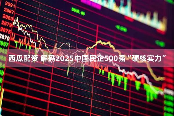 西瓜配资 解码2025中国民企500强“硬核实力”